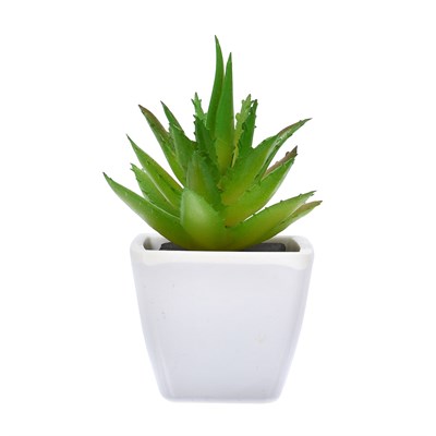 Ароматический диффузор AROMA REPUBLIC Madagascar ЛЕГЕНДА ВОСТОКА 50мл 90021 - фото 42614