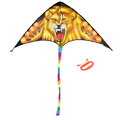 Змей воздушный BOYSCOUT 130х62 см, шнур 30 метров 3 вида 61483 - фото 42784