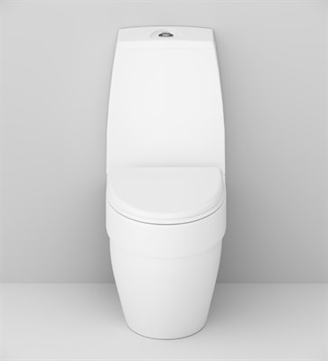 Унитаз-компакт AM.PM Bliss L с крышкой микролифт C538607SC - фото 43528