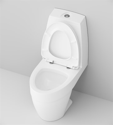 Унитаз-компакт AM.PM Bliss L с крышкой микролифт C538607SC - фото 43529