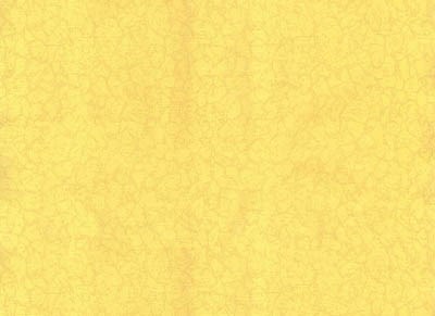 Обои ГОМЕЛЬОБОИ 16С2 Голландия-фон-52 дуплекс 0,53*10,05м (1упак-12рул) - фото 49948