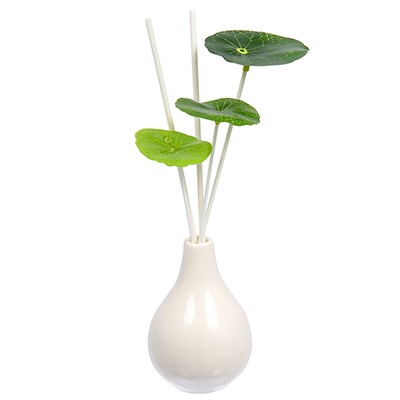 Ароматический диффузор AROMA REPUBLIC Canada БЕЛАЯ СИРЕНЬ 50мл 90040 - фото 52613