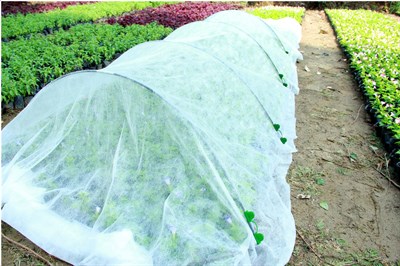 Парник GREEN APPLE сборный 1,5*5m GAPS01-106 - фото 53304