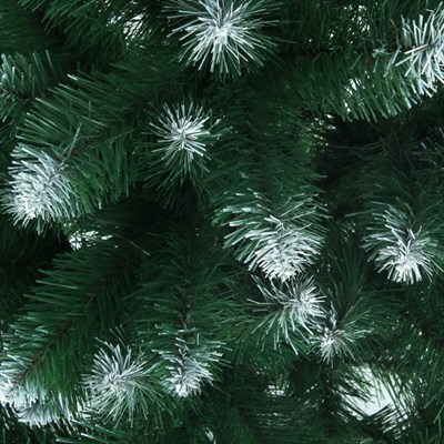 Ель Королева Белоснежная 250см - фото 53669