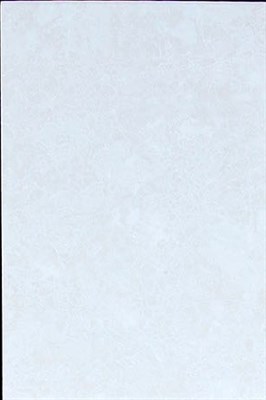 Плитка TSC облицовочная 20*30 светлая TP2324A - фото 54753