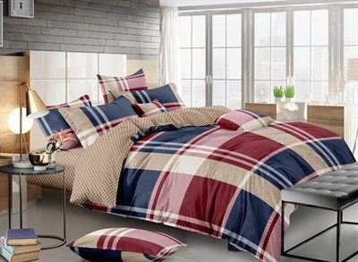 Комплект постельного белья ВАСИЛИСА '17 евро 220 сатин наб 4 нав,100 % хлопок 826 Онегин - фото 56309