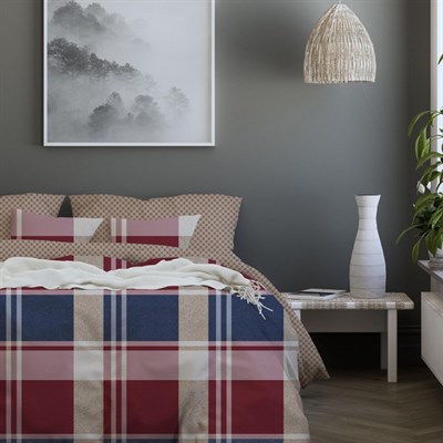 Комплект постельного белья ВАСИЛИСА '17 евро 220 сатин наб 4 нав,100 % хлопок 826 Онегин - фото 56310