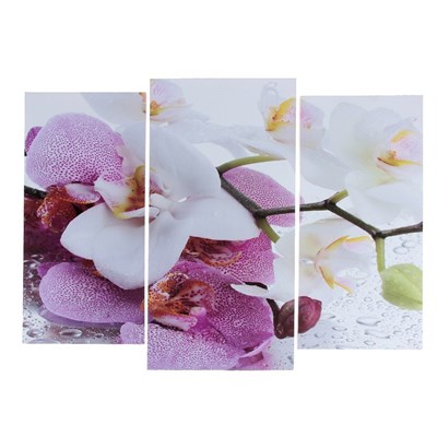 Картина модульная Краповая орхидея! 2шт-25*52см, 1шт-30*60см, 60*80см 3981588 - фото 58250