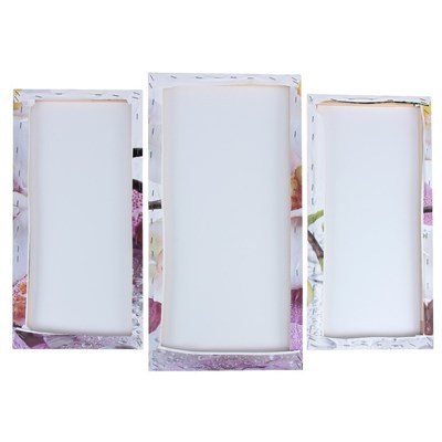 Картина модульная Краповая орхидея! 2шт-25*52см, 1шт-30*60см, 60*80см 3981588 - фото 58252