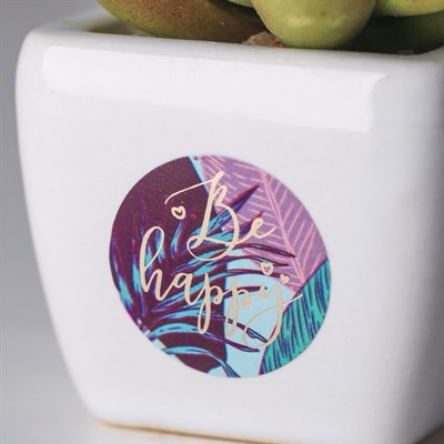 Суккулент в керамическом горшочке Be happy! 7,5*5,5*6см 4095584 - фото 58299