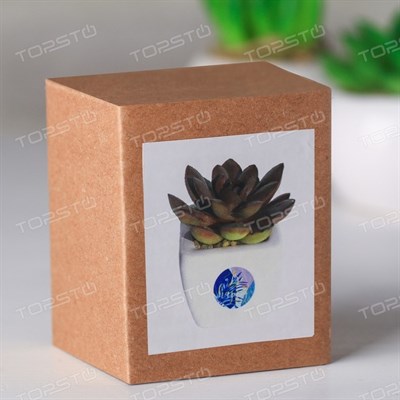 Суккулент в керамическом горшочке Be happy! 7,5*5,5*6см 4095584 - фото 58300