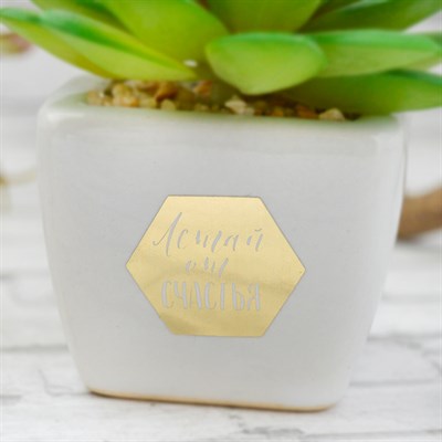 Суккулент в керамическом горшочке Летай от счастья! 7,5*5,5*6см 4095595 - фото 58320