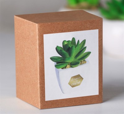 Суккулент в керамическом горшочке Летай от счастья! 7,5*5,5*6см 4095595 - фото 58322