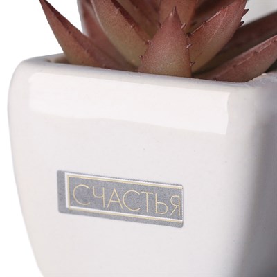 Суккулент в керамическом горшочке Счастья! 7,5*5,5*6см 4095601 - фото 58326