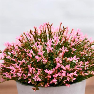 Бонсай Мелкие цветочки 8*12см 4736475 - фото 58648