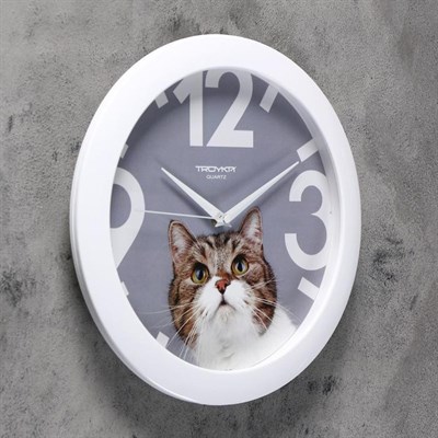 Часы настенные Животный мир Кот белый обод d=29см 2584135/11110193 - фото 58705