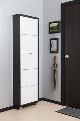 Шкаф для обуви Айрон Люкс 5-ти секционный (Вишня окантовка Вишня - Стекло белое) - фото 5909