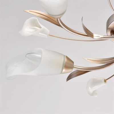 Люстра MW-LIGHT Восторг 5*60W E14 220V 242016205 - фото 60186