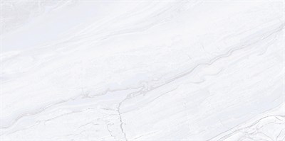 Плитка ALMA CERAMICA облицовочная Arcadia 249*500*7,5 TWU09ARC007 - фото 60851