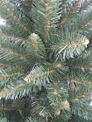 Ель Алтайская 220см - фото 61735