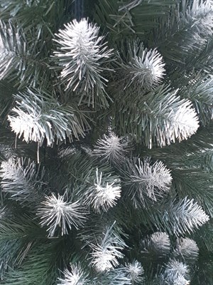 Ель Королева Белоснежная Премиум 220см - фото 61755