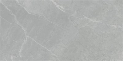 Керамогранит LASSELSBERGER НИАГАРА 300*600 серый 6260-0005 - фото 66567