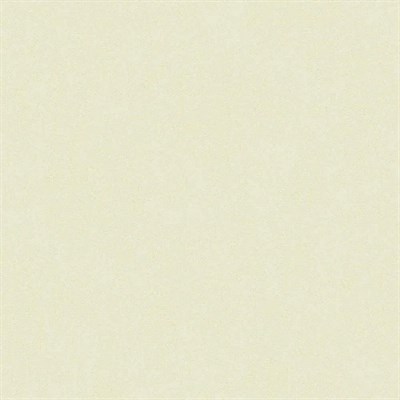 Обои ERISMANN г.Москва Basic+ 70000-03 1,06*15м (1упак-6рул) - фото 67024