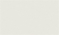 Обои ERISMANN г.Москва E-design Nordic 60453-02 1,06*10,05м (1упак-6рул) - фото 69699