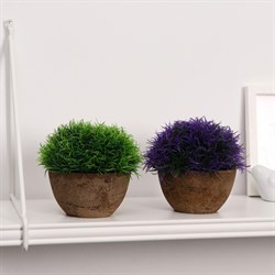 Бонсай в горшке Травка 13*11см МИКС 4555657 - фото 71149