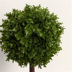 Бонсай Мелколист с цветочками 7*18см МИКС 2555068 - фото 71209