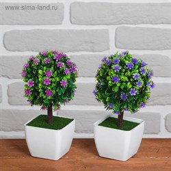 Бонсай Мелколист с цветочками 7*18см МИКС 2555068 - фото 71210