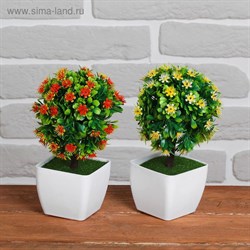 Бонсай Мелколист с цветочками 7*18см МИКС 2555068 - фото 71211