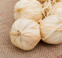 Муляж Связка чеснока 40см 12 головок 3601725 - фото 71257