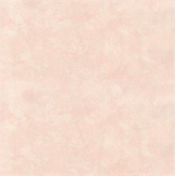 Обои EURO DECOR Polo фон 7134-22 виниловые 1,06*10,05м (1упак-6рул) - фото 71475