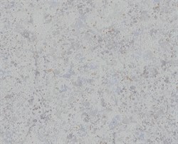 Обои EURO DECOR Cosmea фон 9081-11 виниловые 1,06*10,05м (1упак-6рул) - фото 71785