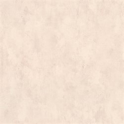 Обои EURO DECOR Venus фон 8041-21 виниловые 1,06*10,05м (1упак-6рул) - фото 71821