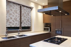 Штора рул. DELFA СРШ-01М-227 72(68)/170 РБ - фото 73053