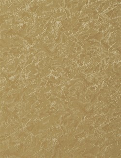 Штора рул. DELFA СРШ-01МП-79511 66(62)/170 РБ - фото 73354