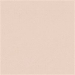 Обои EURO DECOR Capsule 6027-08 виниловые 1,06*10,05м (1упак-6рул) - фото 73964