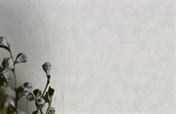 Обои AS Германия (New Unique) 37789-2 1,06*10,05м (1упак-6рул) - фото 74937