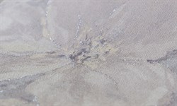 Обои АСПЕКТ РУ 70431-24 1,06*10,05м (1упак-6рул) - фото 75161