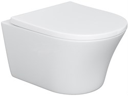 Унитаз DAMIXA Skyline подвесной, безободковый, с сиденьем микролифт DX35C1700SC - фото 75268
