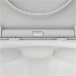 Унитаз DAMIXA Skyline подвесной, безободковый, с сиденьем микролифт DX35C1700SC - фото 75269