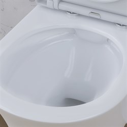 Унитаз DAMIXA Skyline подвесной, безободковый, с сиденьем микролифт DX35C1700SC - фото 75270