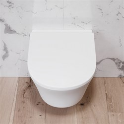 Унитаз DAMIXA Skyline подвесной, безободковый, с сиденьем микролифт DX35C1700SC - фото 75271