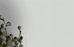 Обои АСПЕКТ РУ 70395-14 1,06*10,05м (1упак-6рул) - фото 75357