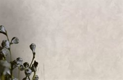 Обои EURO DECOR Prince фон 9117-02 виниловые 1,06*10,05м (1упак-6рул) - фото 75591