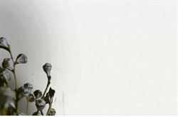 Обои VS Azzurro фон 281312 виниловые 1,06*10,05м (1упак-6рул) (Ateliero) - фото 76018