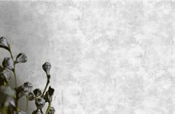 Обои VS Betone 281041 виниловые 1,06*10,05м (1упак-6рул) (Ateliero) - фото 76376