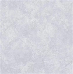 Обои EURO DECOR Allegra фон 9107-11 виниловые 1,06*10,05м (1упак-6рул) - фото 76378